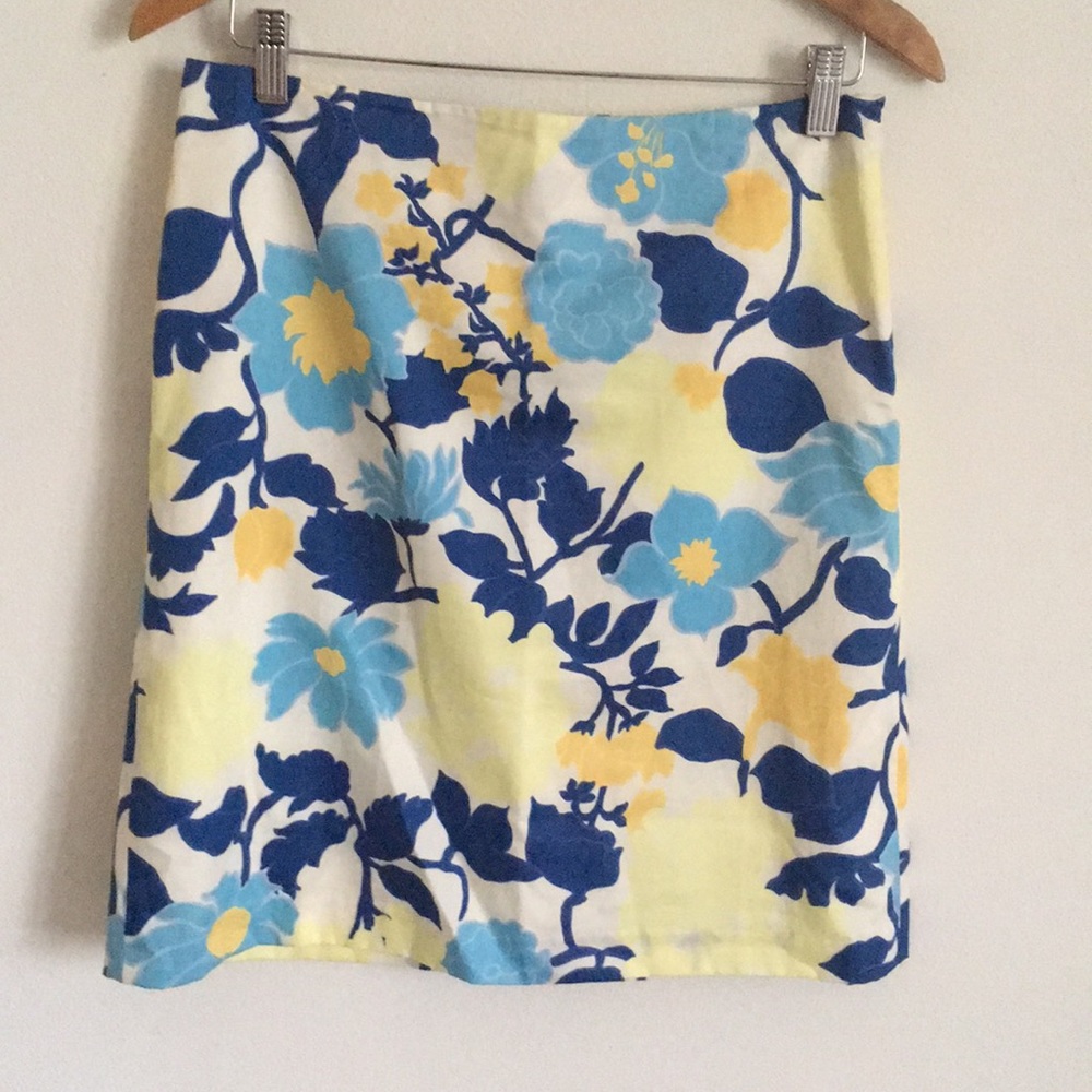 Ann Taylor | skirt